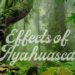 Effects of Ayahuasca