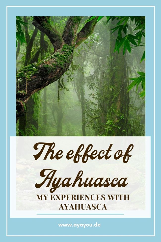 Effects of ayahuasca Pinterest