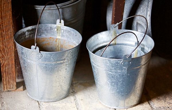 Bucket Ayahuasca Purging