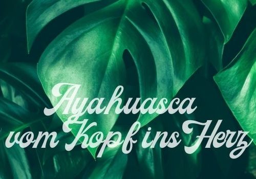 Ayahuasca erster Ayahuasca-Zeremonie Blätter