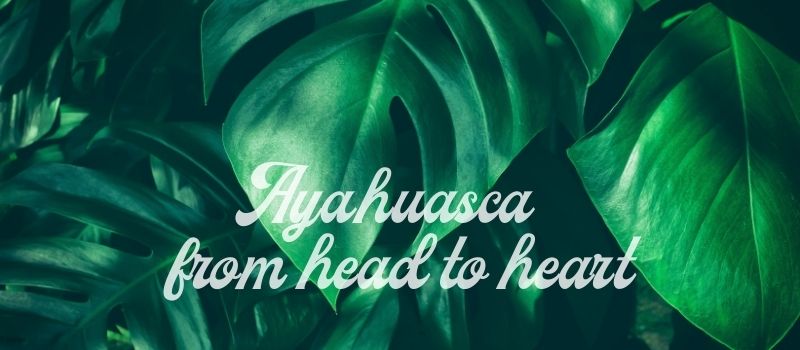 Ayahuasca first ceremony experience