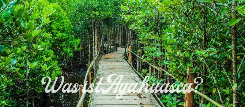 Was ist Ayahuasca Dschungel