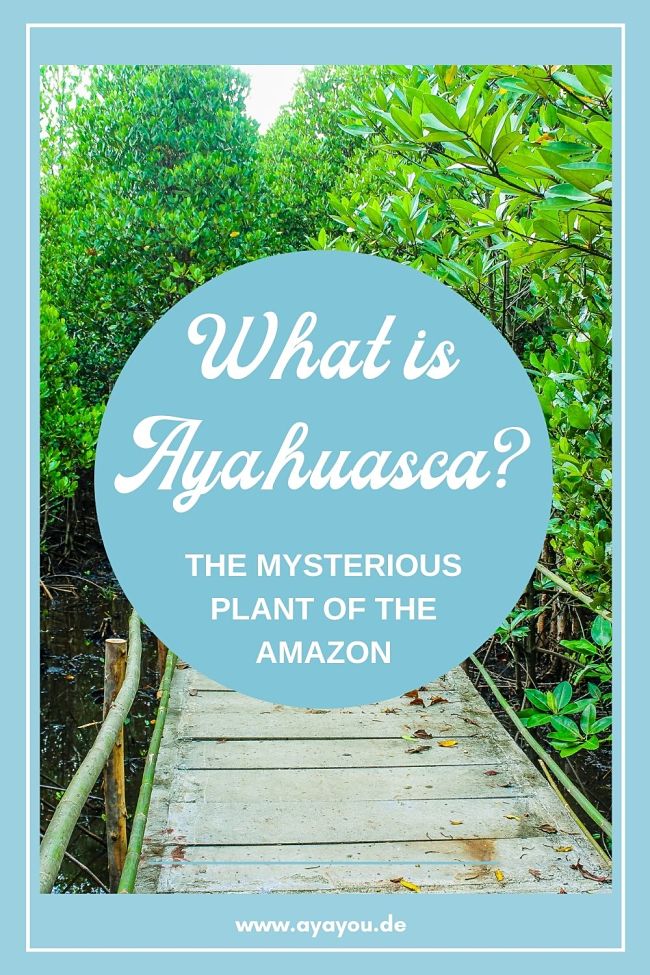 What is ayahuasca Pinterest