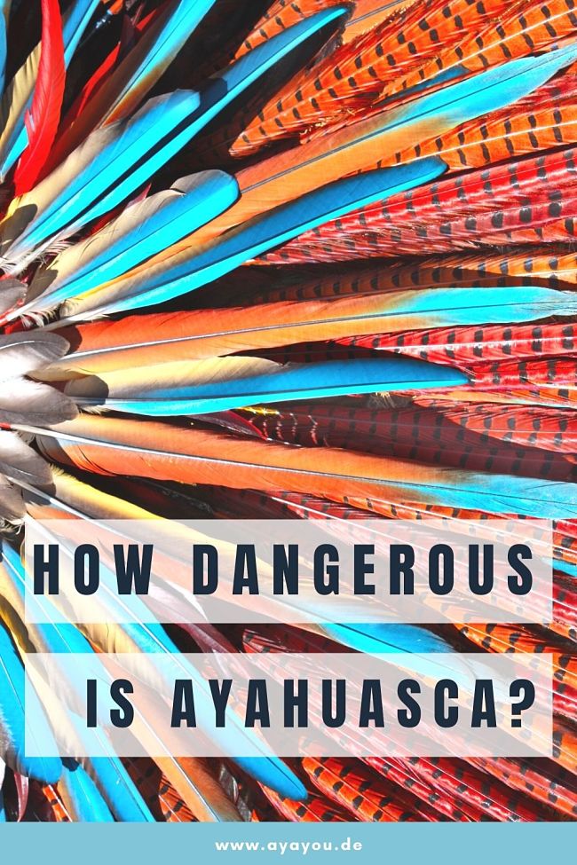 How dangerous is ayahuasca_opt