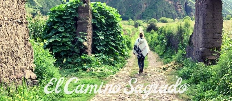 Ayahuasca Retreat El Camino Sagrado Peru